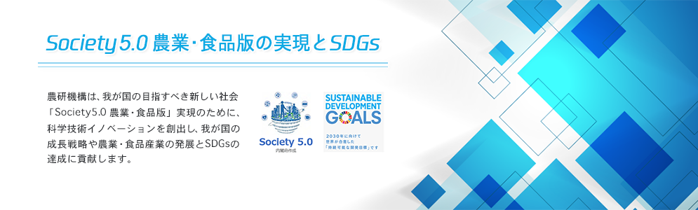 Society5.0 農業・食品版の実現とSDGs