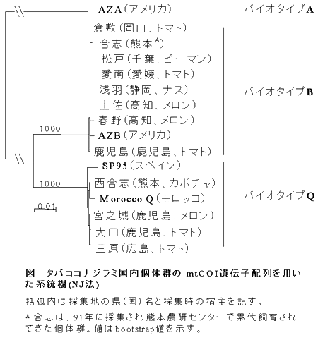 20070419zu3.png