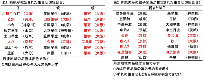 表1.両親が推定された組合せ(8組) 表2.片親のみの親子関係が推定された組合せ(9組)