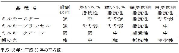 表6