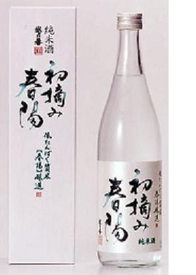 図2 製品 「初摘み春陽」