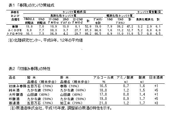 表1 「春陽」のタンパク質組成