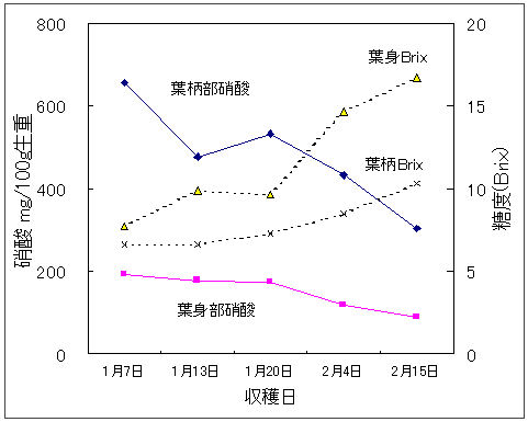 図1 ホウレンソウの部位別硝酸含量と糖度