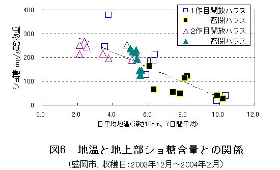 図6 地温と地上部ショ糖含量との関係