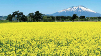 東北農業研究センター