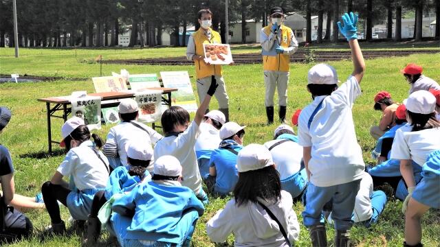 写真2