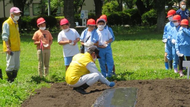 写真4