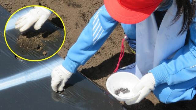 写真5