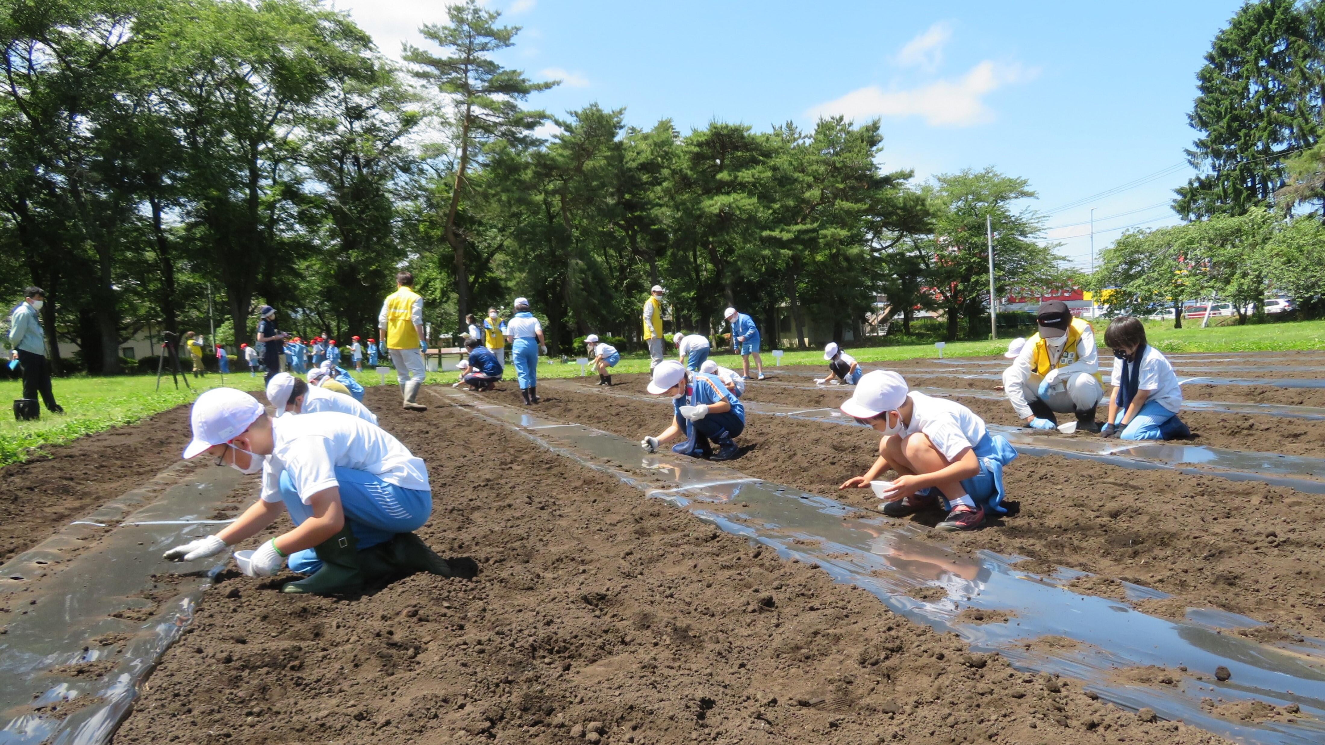 写真6