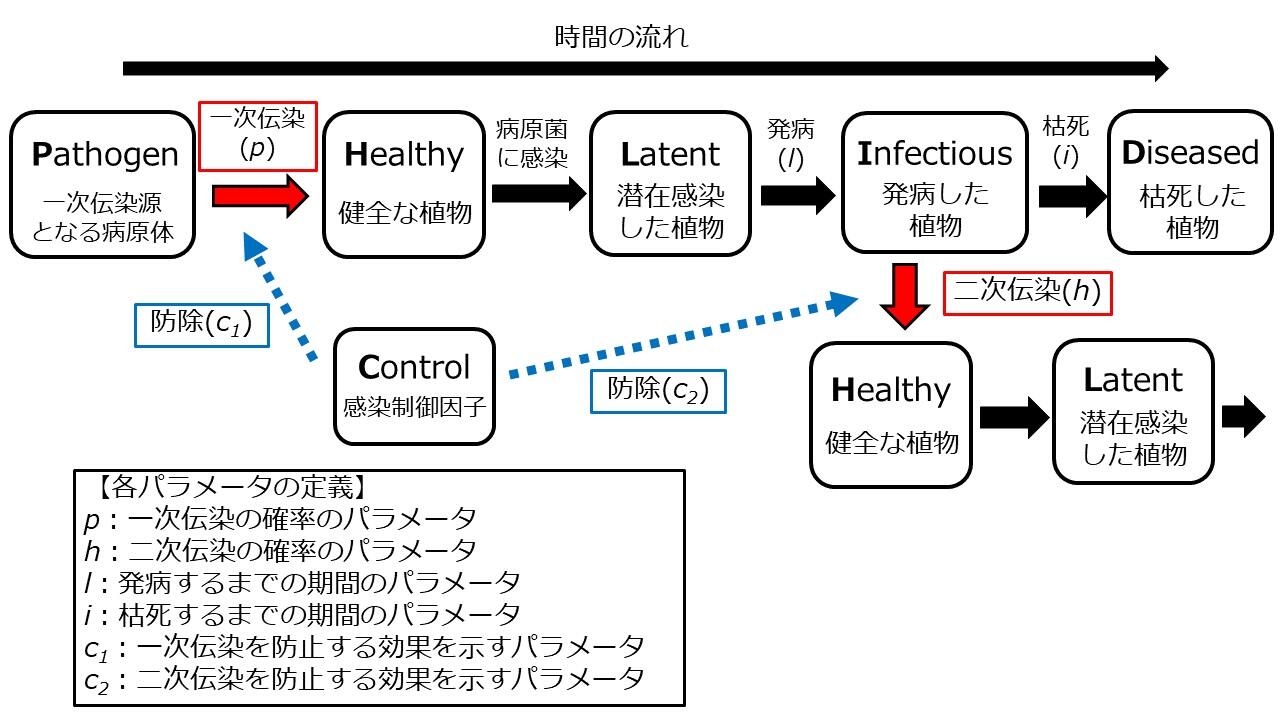 warc-press_20240719_zu01.jpg
