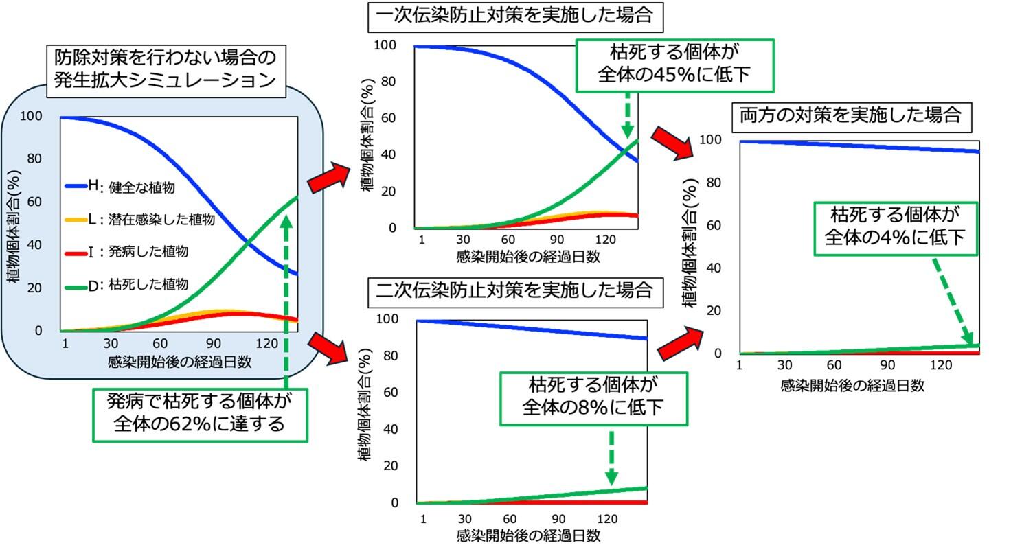 warc-press_20240719_zu04.jpg