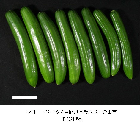 20110804_1_zu1