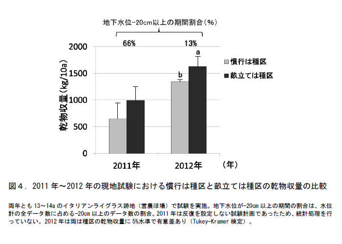 図4. 2011年~2012年の現地試験における慣行は種区と畝立ては種区の乾物収量の比較