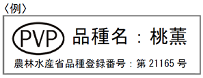 桃薫PVPマーク