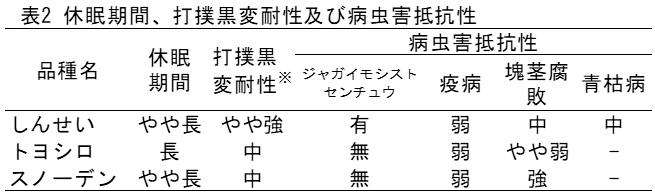 表2 休眠期間、打撲黒変耐性及び病虫害抵抗性