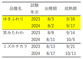 「ゆきふわり」と「笑みたわわ」、「ミズホチカラ」の出穂期、成熟期のデータを示した表