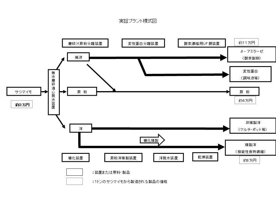 実証プラント模式図