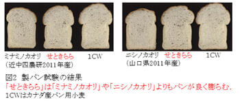 図2:製パン試験の結果