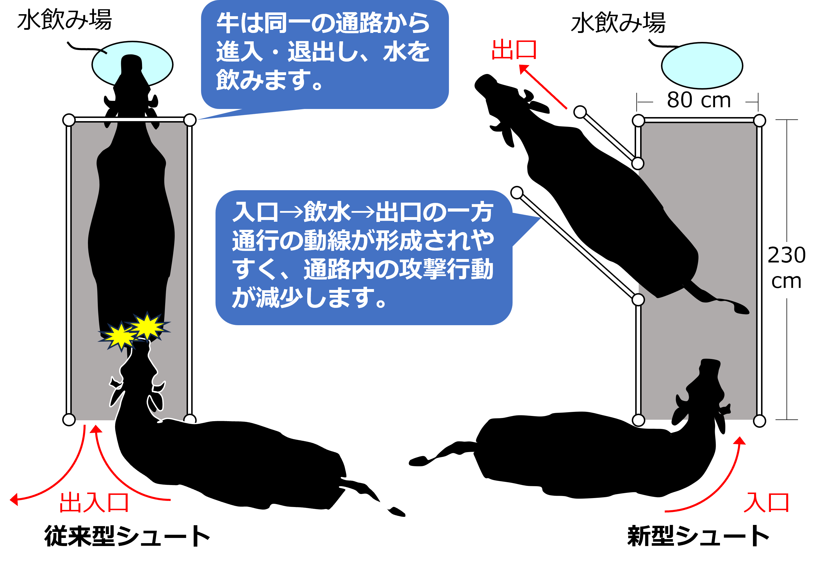放牧牛体重計測システムに用いる新型シュートの模式図