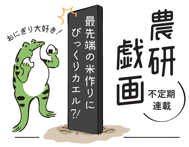 不定期連載 「最先端の米作りにびっくりカエル?!」