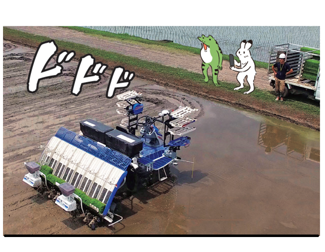 自動運転田植機の様子を見るウサギとカエル