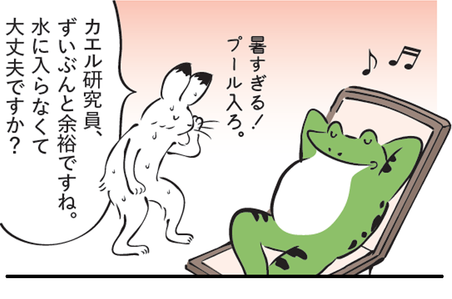 ウサギ「暑すぎる!プール入ろ。カエル研究員、ずいぶんと余裕ですね。水に入らなくて大丈夫ですか?」