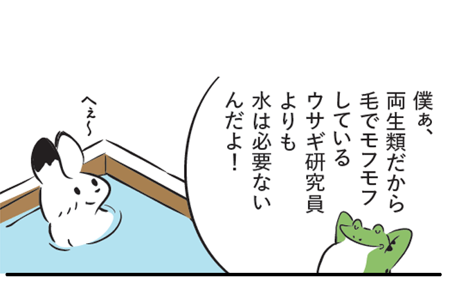 カエル「僕ぁ、両生類だから毛でモフモフしているウサギ研究員よりも水は必要ないんだよ!」 ウサギ「へぇ～」