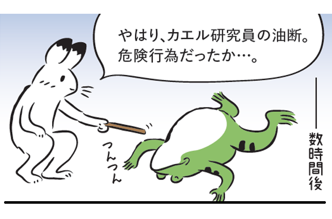 -数時間後。 ウサギ「やはり、カエル研究員の油断。危険行為だったか...。」