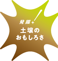 タイトル:発掘!土壌のおもしろさ