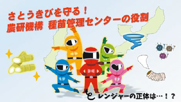 動画サムネイル:砂糖の原点
