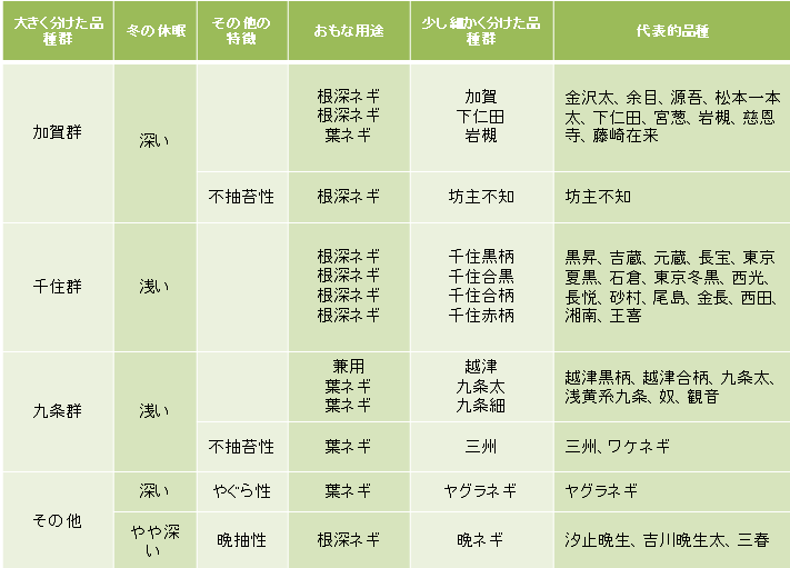 negi-zu1.PNG