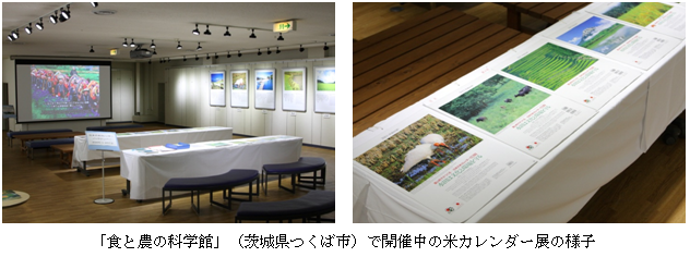 米カレンダー展の様子