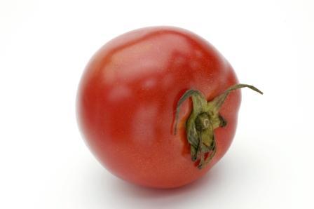 tomato4.JPG