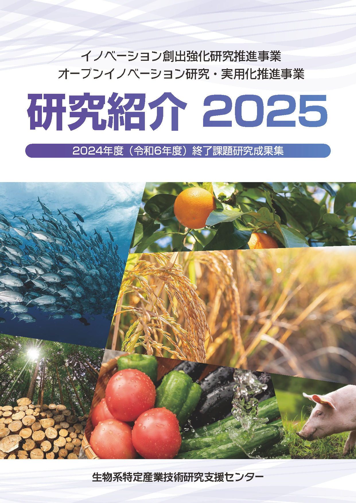 イノベーション創出強化研究推進事業・オープンイノベーション研究・実用化推進事業 研究紹介2025