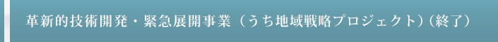 革新的技術開発・緊急展開事業