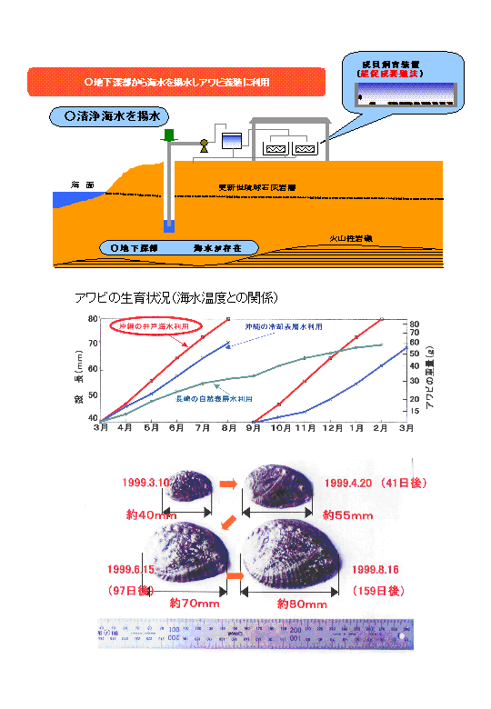 沖縄更新世琉球石灰岩島への削井及び井戸海水によるアワビ等水産養殖の開発