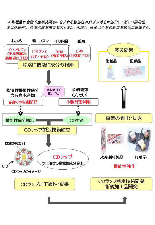 農水産物の脂溶性機能成分CDラップを用いた新規食品の開発