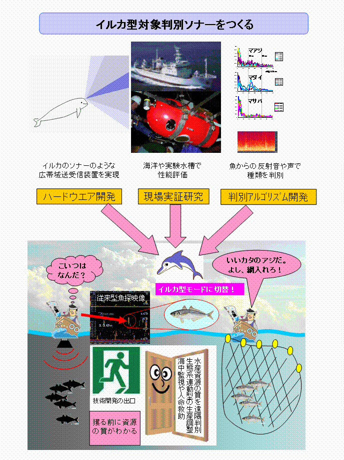 イルカ型対象判別ソナーの開発