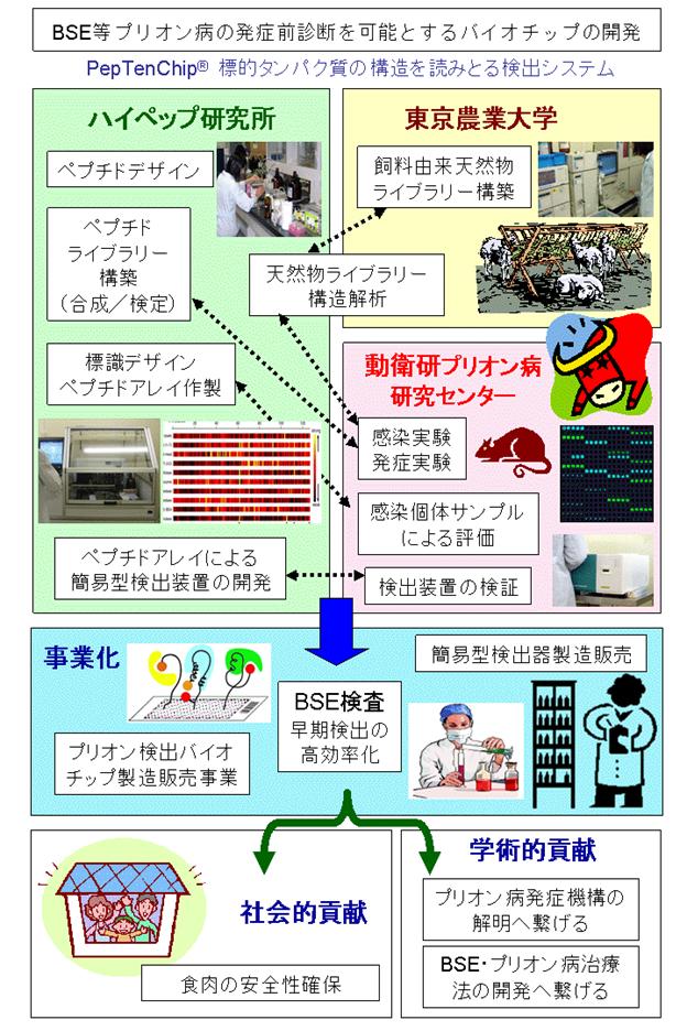 BSE等プリオン病の発症前診断を可能とするバイオチップの開発