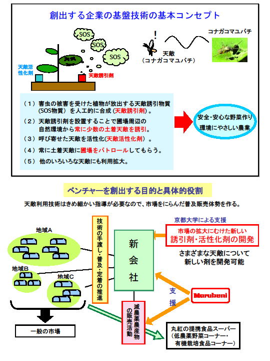 天敵誘引剤・活性化剤を用いた害虫管理