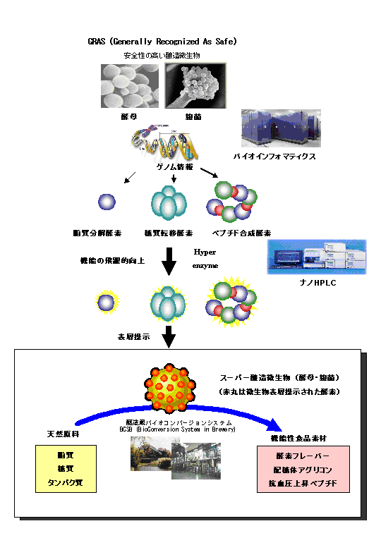 伝統的醗酵産業を再生する革新的で安全なバイオプロセスの開発