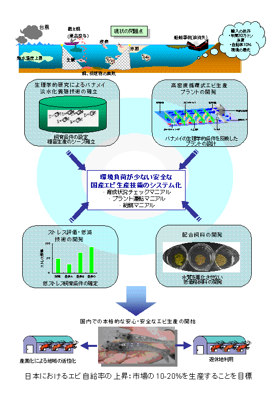 安全な国産エビ(バナメイ)生産技術のシステム化