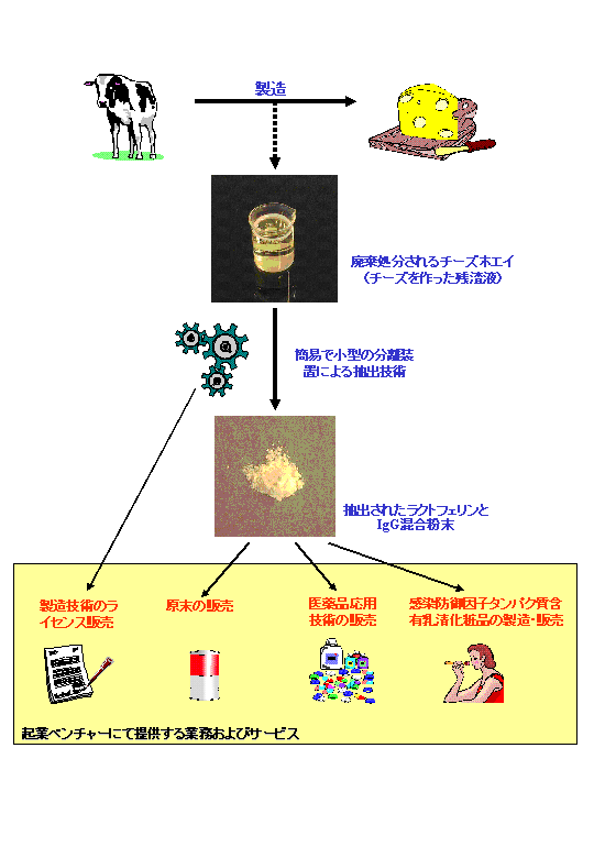 廃棄ホエイからの感染防御因子タンパク質の分離およびその医療応用