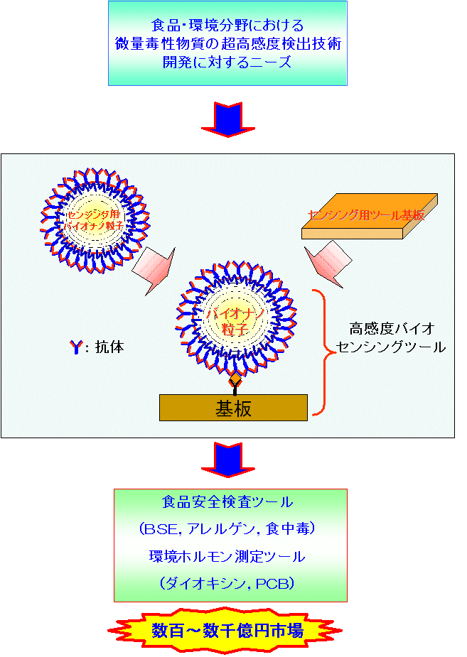 酵母由来中空バイオナノ粒子を用いる革新的超高感度バイオセンシング技術の開発