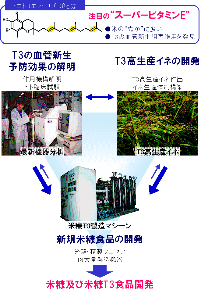 米トコトリエノールを活かす食品開発と米アグリビジネスの展開