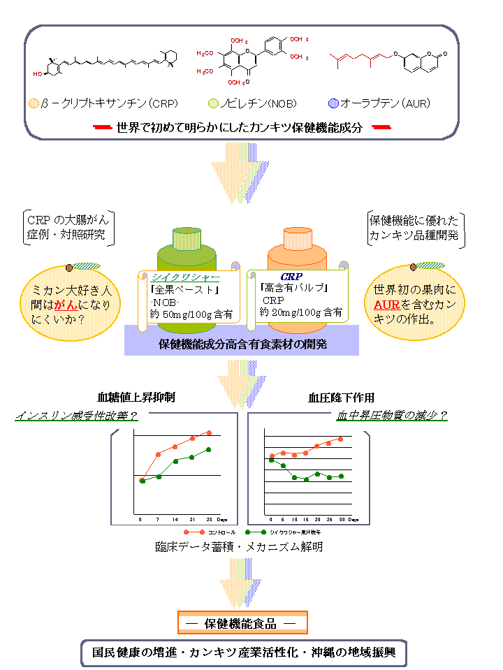  カンキツの機能性成分を活用した保健機能食品の開発