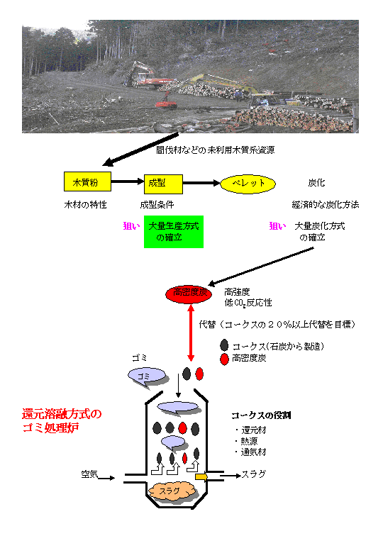 木質系資源から高密度炭の製造と還元用コークスへの利用