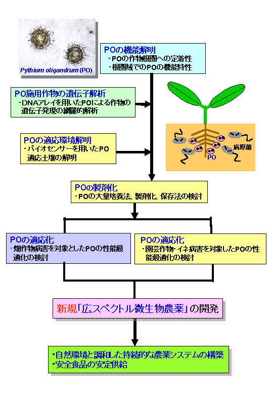 環境保全型病害防除の核となる広スペクトル微生物農薬の開発