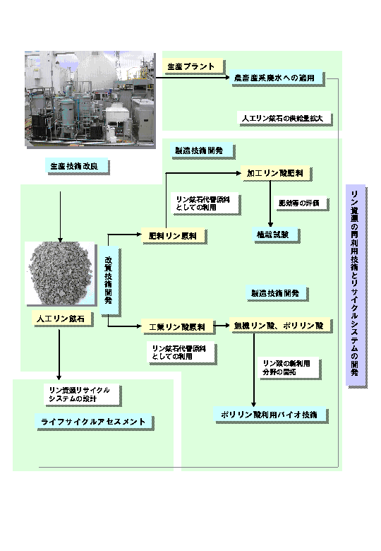 リン資源の再利用技術とリサイクルシステムの開発