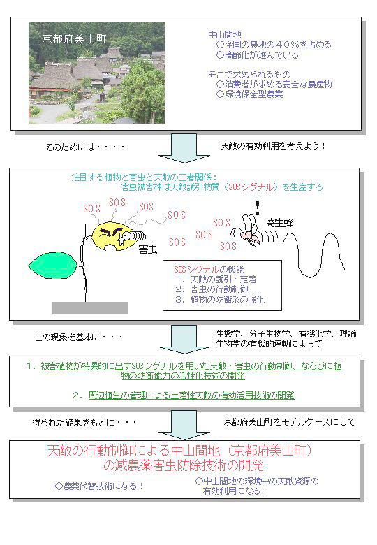 天敵の行動制御による中山間地(京都府美山町)における減農薬害虫防除技術の開発